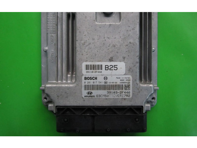 Блок управления двигателем Блок управления 39103-2F440, 0281017541   Hyundai Coupe