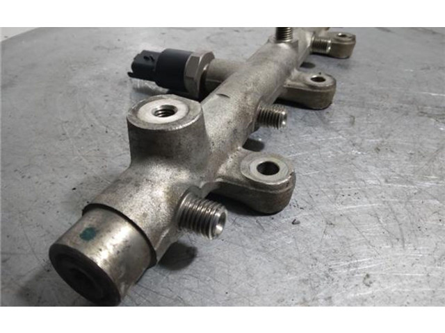 Vstřikovací lišta 0445214019, 0445214019   Peugeot 307    RHS (DW10ATED) 