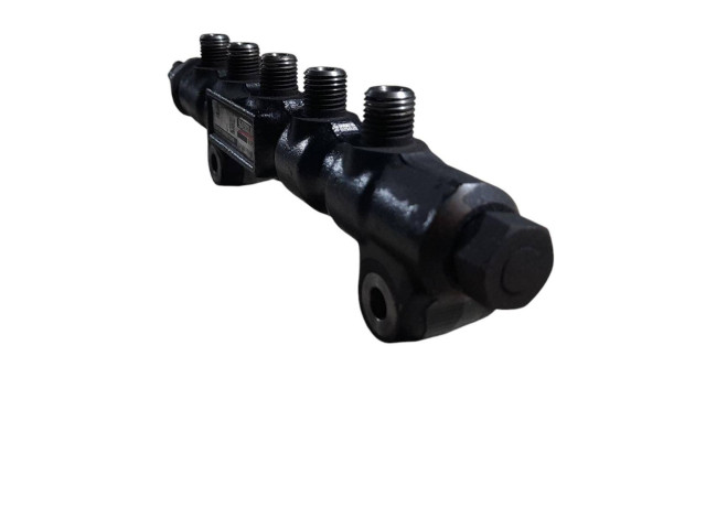 Топливная рампа 9642503380, 0888097P96   Citroen C3  