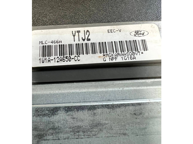 Řídící jednotka 1W1A-12A650-CC, 1U1A-12A650-CC Lincoln Town Car 2003