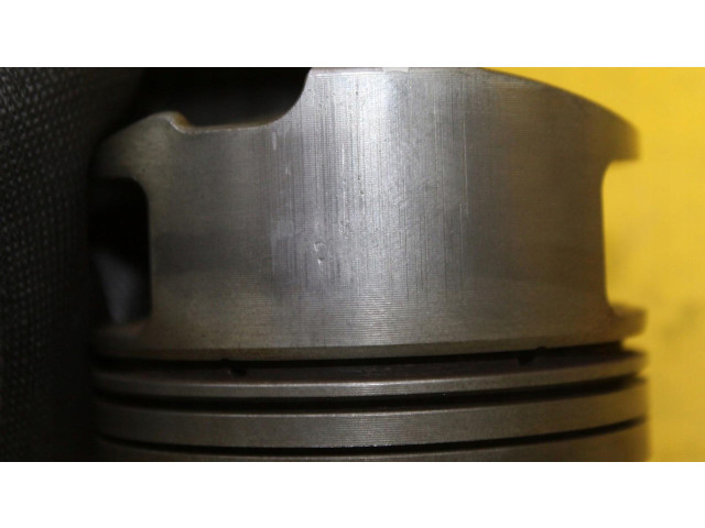 Píst    Audi A8 S8 D3 4E     