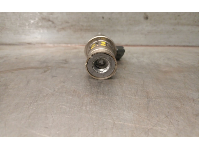 Vstřikovač 9813930180, 9813930180 Citroen C4 SpaceTourer YH01