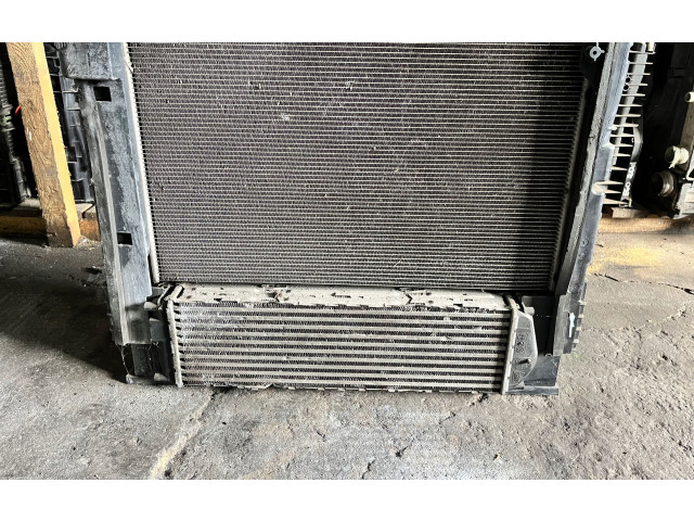 Вентилятор радиатора braknumeruczci BMW X3 F25