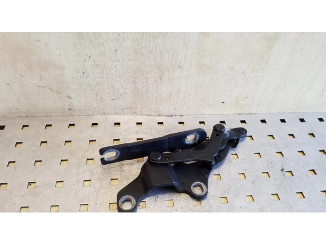 Петля (петли) капота двигателя