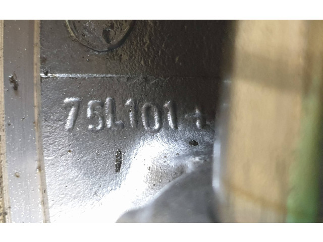  Поршень  75L101  Peugeot Partner  