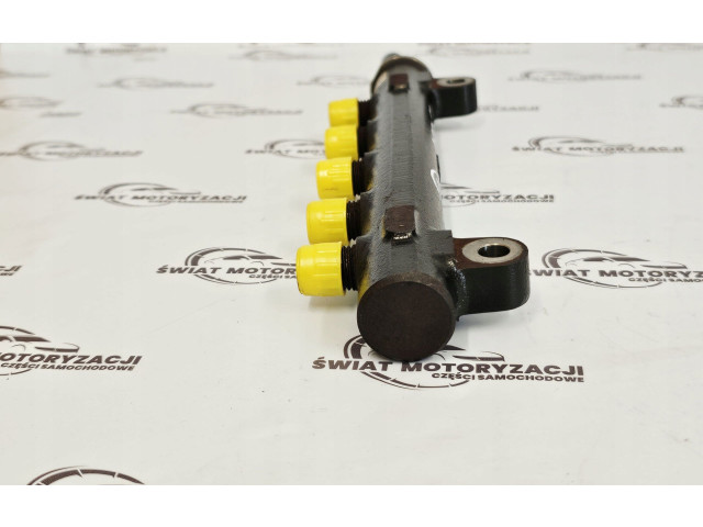 Топливная рампа 96868901, 163KM   Chevrolet Orlando  