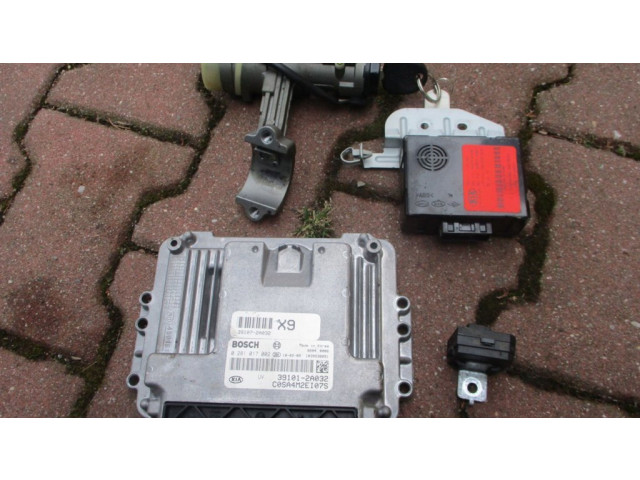 Комплект блоков управления 391012A032, 0281017002   KIA Picanto