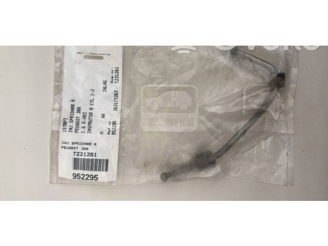 Топливная рампа 1570P7, 36317267 Citroen C4 Grand Picasso