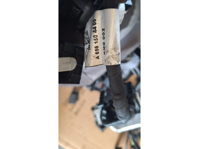 Блок управления двигателя A6561500500 Mercedes-Benz GLE AMG (W166 - C292)