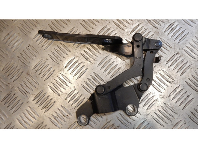 Петля (петли) капота двигателя