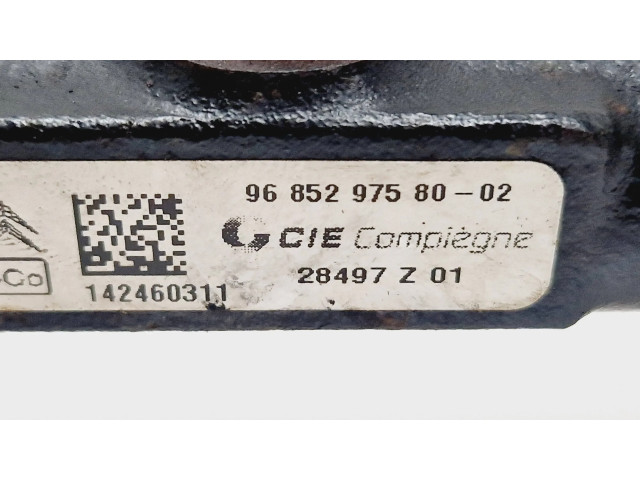 Топливная рампа 9685297580, 142460311   Peugeot 2008 I 1.6 