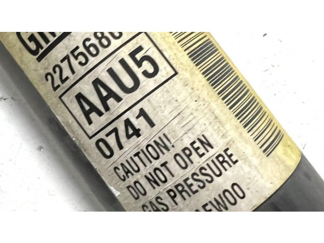 Задний aмортизатор      