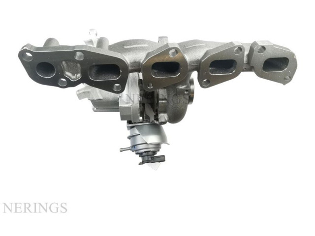  Турбина Audi TT TTS RS Mk3 8S  821866-0009, TC10-0010T         