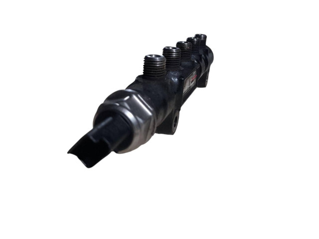 Топливная рампа 9642503380, 0888097P96   Citroen C3  