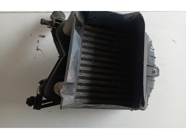 Интеркулер Fiat Grande Punto