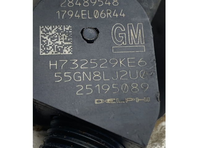Форсунка 25195089, 28489548 Chevrolet Captiva