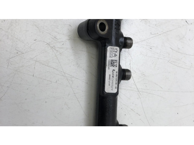Топливная рампа 968529758002, 9670076780   Citroen C4 Grand Picasso 1.6  для двигателя DV60TED