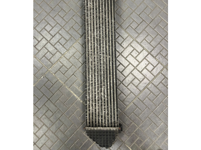 Интеркулер 9M519L440AC, T1851003 Volvo V50