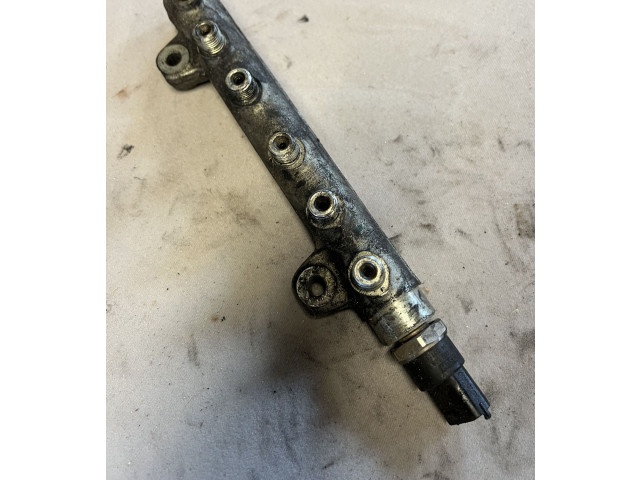 Vstřikovací lišta 0281002568, 0445214042 Renault Vel Satis