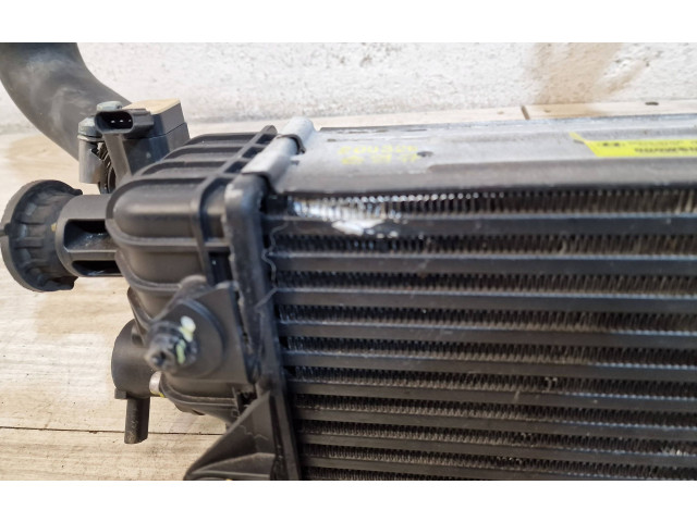 Интеркулер 28270-07500 Hyundai i10