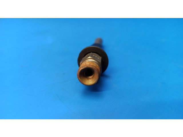 Vstřikovač 744 Rolls-Royce Silver Spirit pro benzínový motor 6.7