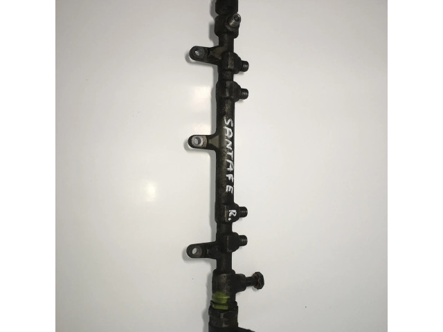 Vstřikovací lišta 0445214211, 314002F000 Hyundai Santa Fe pro naftový motor 2.2