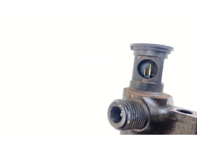 Комплект форсунок 28602948, 1870361 Citroen DS4 AHR (DW10FD)