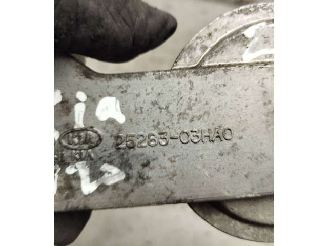 Шкив натяжителя ремня 2528303HA0   KIA Niro    