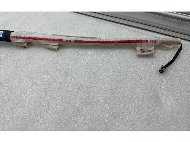 Боковая подушка безопасности 100526200C, 23120219   Tesla Model S