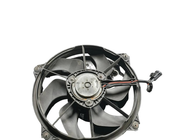 Вентилятор радиатора 300000801 Citroen Berlingo 1.6