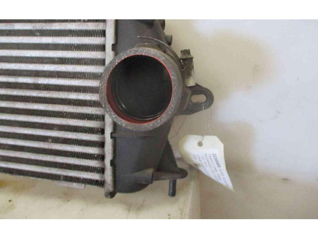 Интеркулер 8200411160, 8200411160 Renault Trafic II (X83)
