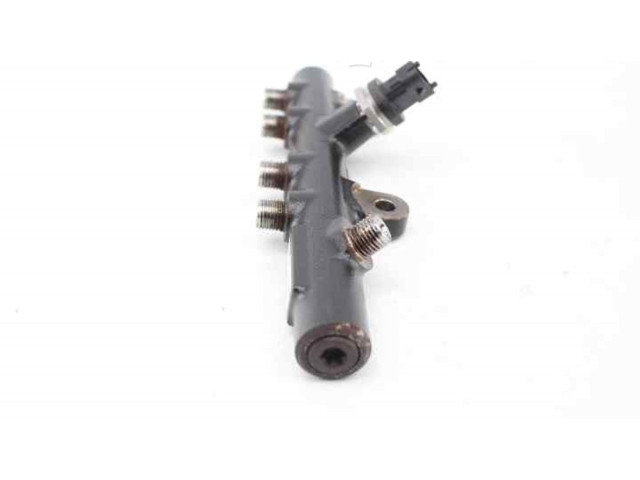 Vstřikovací lišta 175215346R   Renault Clio IV     