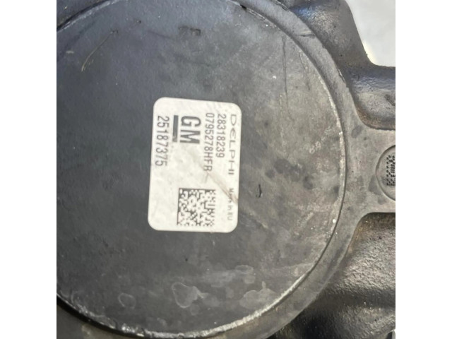 Vstřikovací čerpadlo 28318239, BOMBAINYECCION Chevrolet Chevy Van