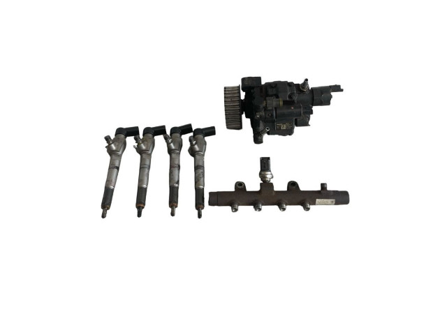 Комплект форсунок H8200704210, H8200704191    Dacia Duster   