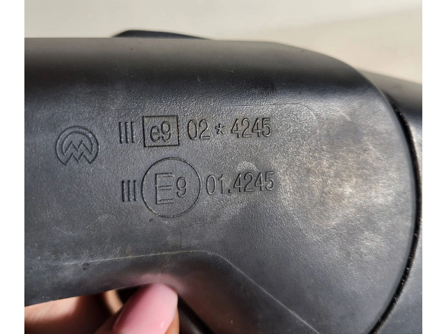Zpětné zrcátko  Volkswagen Polo IV 9N3 2007  E3012379, L0LSA  