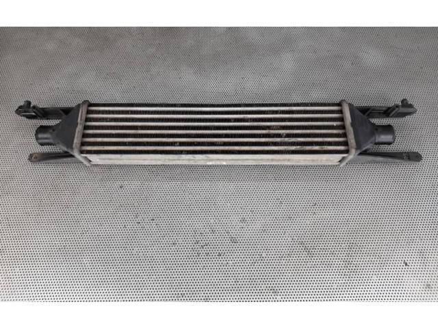 Интеркулер     Fiat Punto Evo 