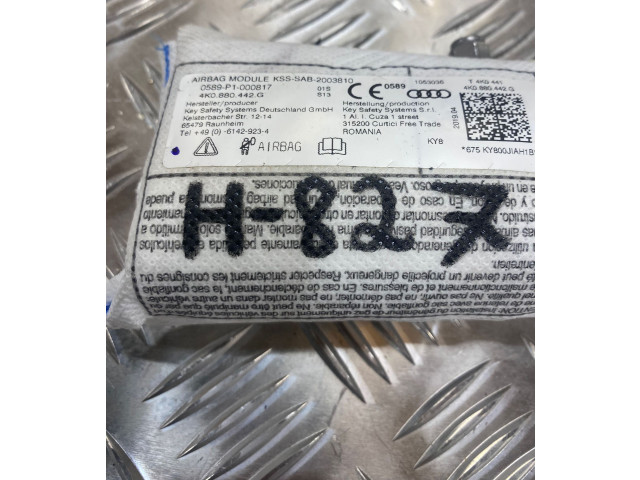 Подушка безопасности в сиденье 4k0880442G Audi e-tron
