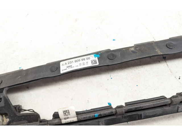 Vstřikovač A2389053301, A2319059900 Mercedes-Benz S W222