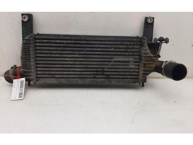 Интеркулер 14461EB360 Nissan Pathfinder R51