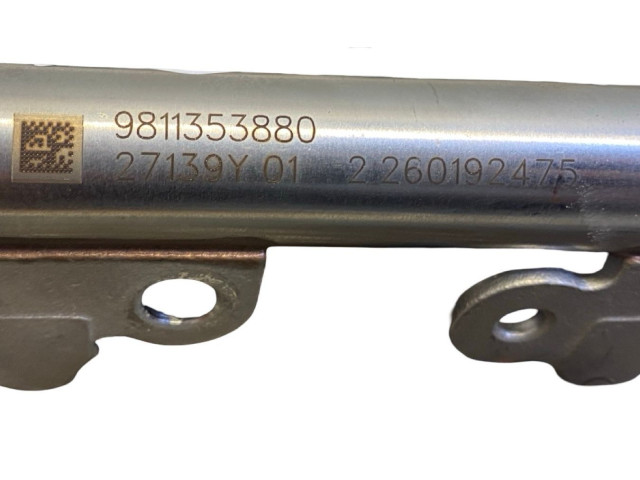 Комплект форсунок 9811353880, 9822715980 Citroen C3 Aircross