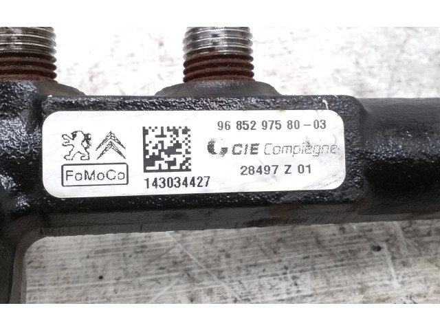 Топливная рампа 9685297580, 28497Z01   Peugeot Expert   для двигателя VF3XT9HM0EZ055989