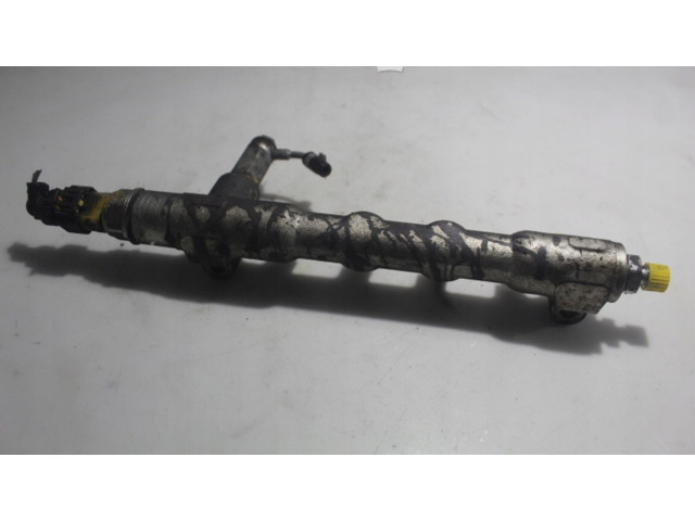 Топливная рампа    Opel Meriva B  