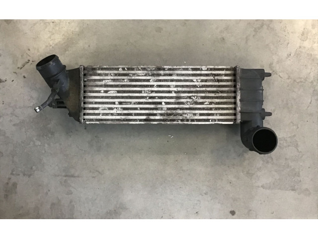 Интеркулер 1489396080, 870229H Citroen C8
