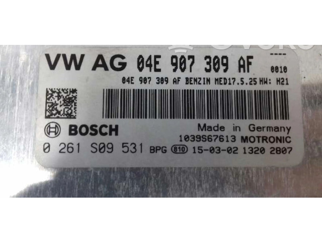 Блок управления двигателем Блок управления 04E907309AF   Skoda Fabia Mk3 (NJ)