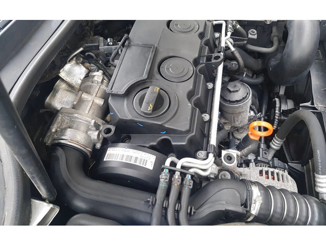 Масляный насос BLS966323 Volkswagen Caddy