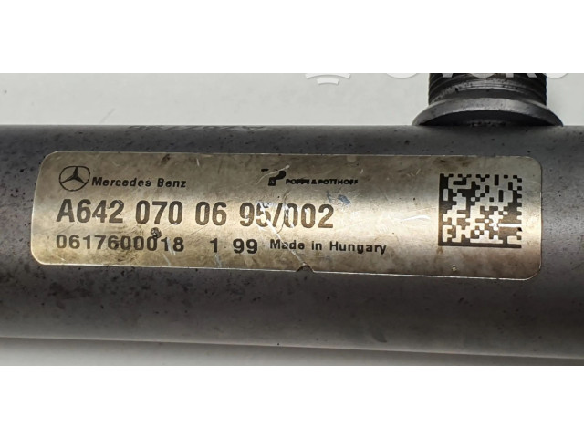 Топливная рампа A6420700695 Jeep Grand Cherokee (WK)