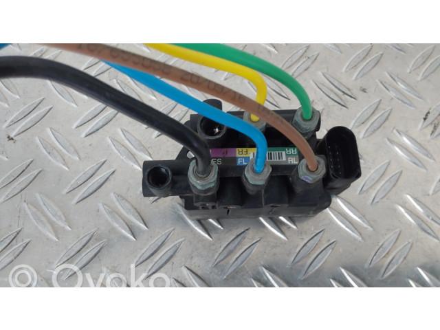 Распределитель воздуха / блок клапана (пневматическое шасси)