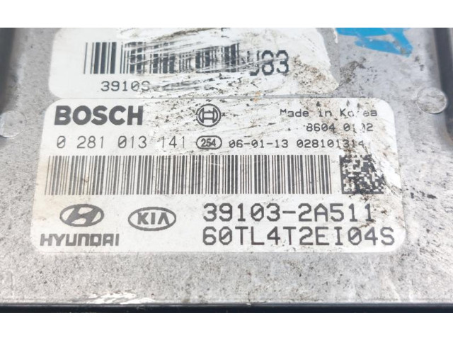 Řídící jednotka 0281013141, 0281013141 Hyundai Getz 2000