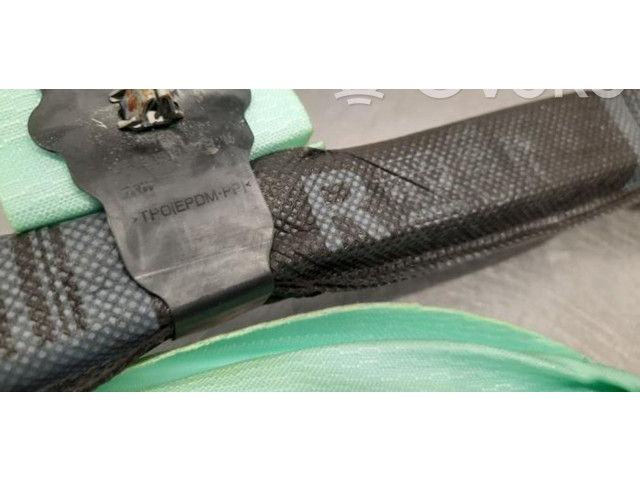 Надувная подушка для крыши 8V4880742A    Audi RS3