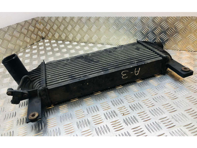 Интеркулер F6864 Nissan Pathfinder R51 2.5